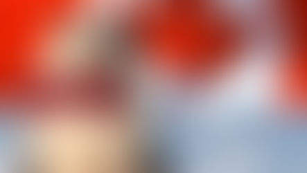 Canada and FIP in Cats : A Comprehensive Guide to Diagnosis and Treatment