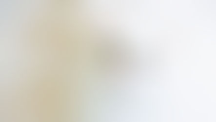 Understanding Feline FIP: Navigating the Journey of Cats with FIP