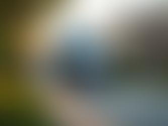 Discover Local Elite Detailing Services with LJS Elite Mobile Detailing