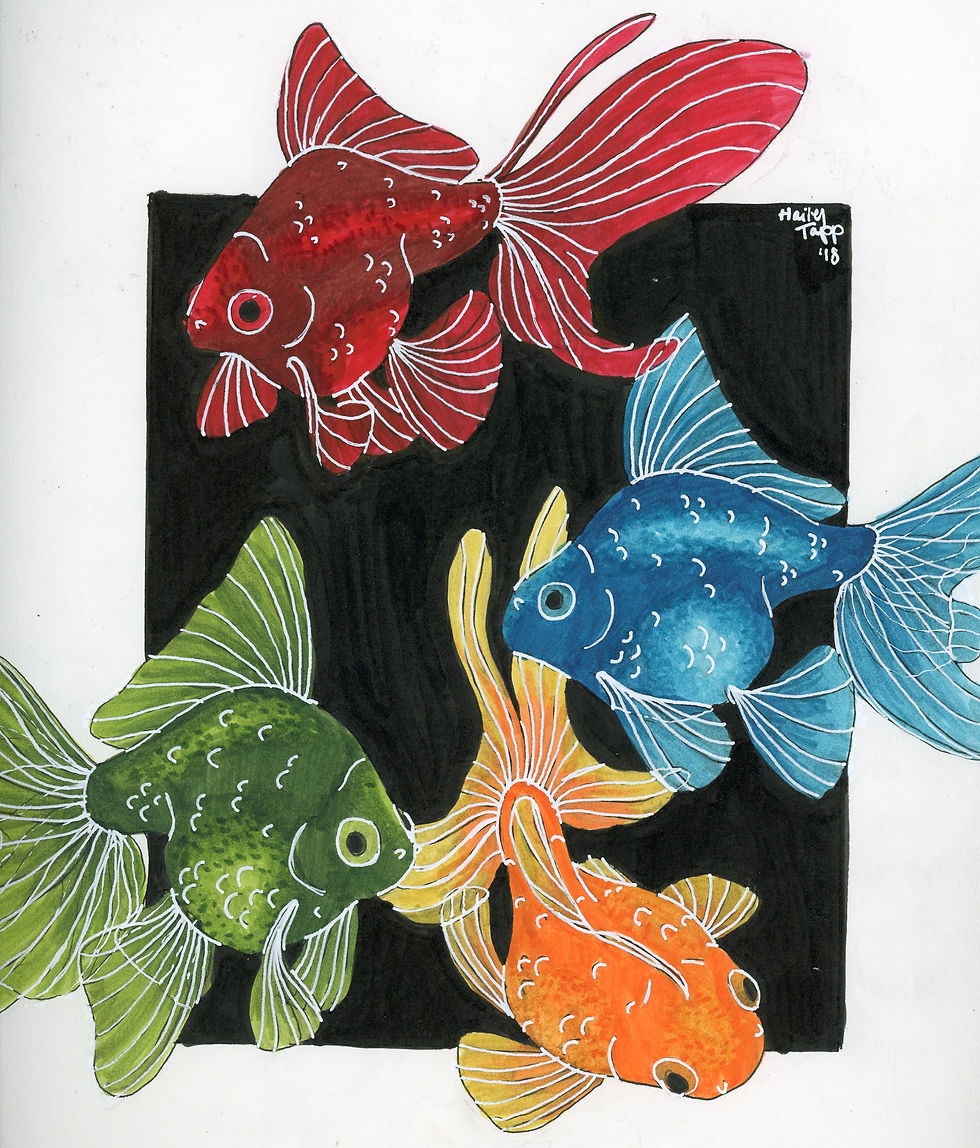 Four fancy tail Goldfish