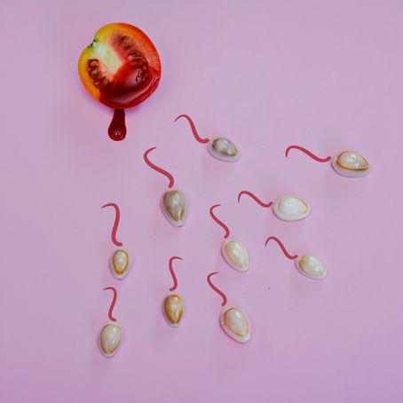 Assisted Reproduction: Definitions and Terms of ART