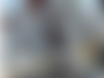 What Seeds Are Sprouting? 