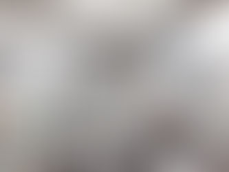 ［鳥害対策］鳩よけネット施工