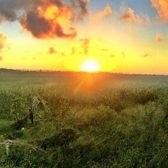 Mozambique