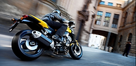 Bike Despatch Rider .png