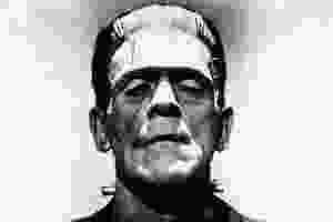 frankstein-modelo-foto