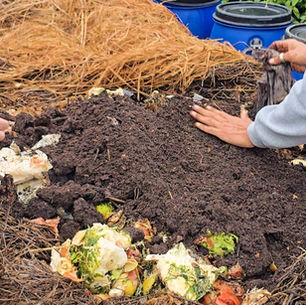 Compostagem em Garopaba: transformando lixo em vida