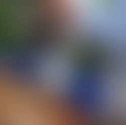 Garopaba pioneira na gestão ambiental: aprovada, PL da Compostagem aguarda sanção do prefeito