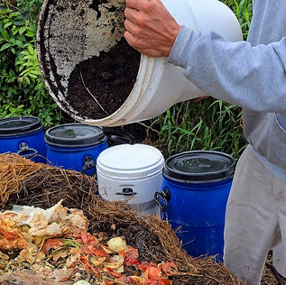 Garopaba pioneira na gestão ambiental: aprovada, PL da Compostagem aguarda sanção do prefeito
