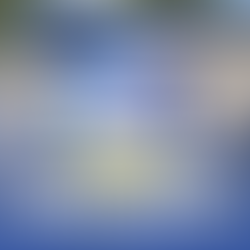 Horários Tarifa Zero Garopaba