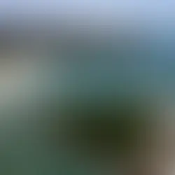 A importância da APA da Baleia Franca e nossa luta por sua preservação