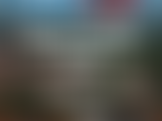 Defenda seus direitos contra cobranças abusivas e inscrições indevidas no SPC/Serasa em Botucatu e região.