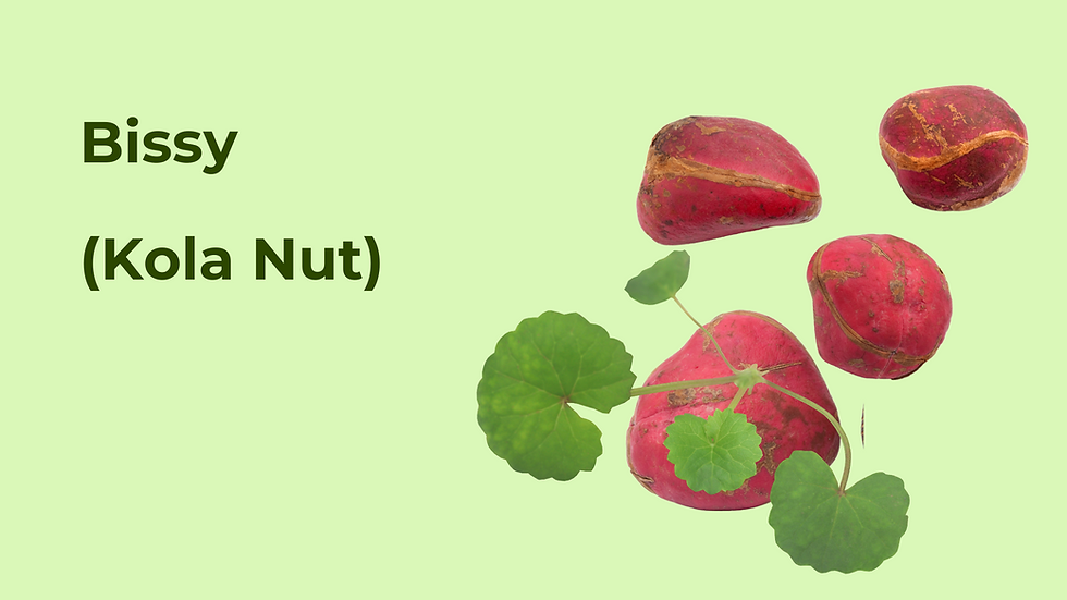 The Power of Bissy, The Ultimate Detox Herb
