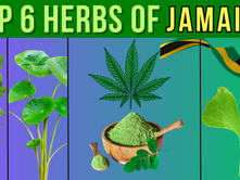 Jamaica's Secret Herbs for Beauty Treatment