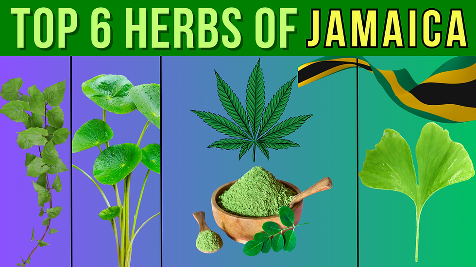 Jamaica's Secret Herbs for Beauty Treatment