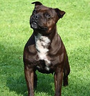 med_5f14a2110e6d0.jpg