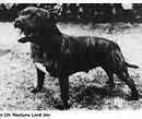Lord_Jim (1).jpg