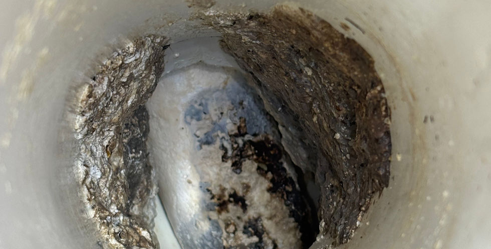 Grease Clogged Pipe