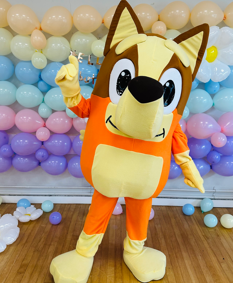 Orange Pup
