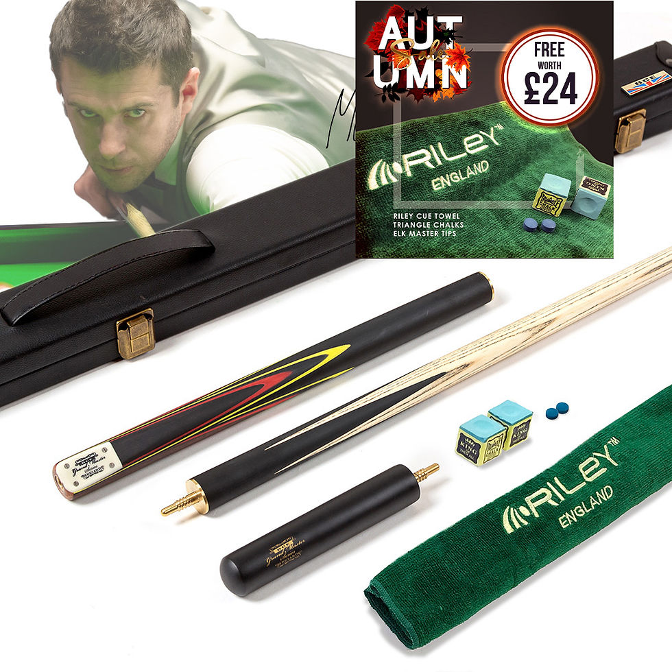 BCE Grand Master Series 3 - Snooker Cue & Case Set