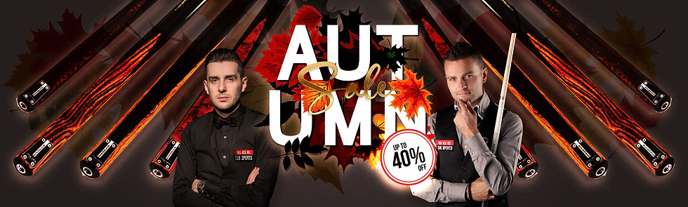 Riley Leisure Snooker & Pool Cue Sale