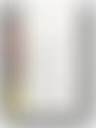 Commentary on the Heidelberg Catechism