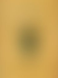 Grounded in the Gospel: Building Believers the Old-Fashioned Way