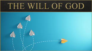 The Will of God_0.75x_0.75x.png