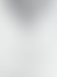 The Necessity of Reforming the Church