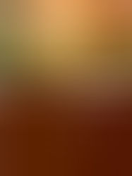 Called to Serve: Essays for Elders and Deacons