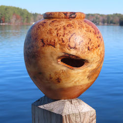 White Birch Burl