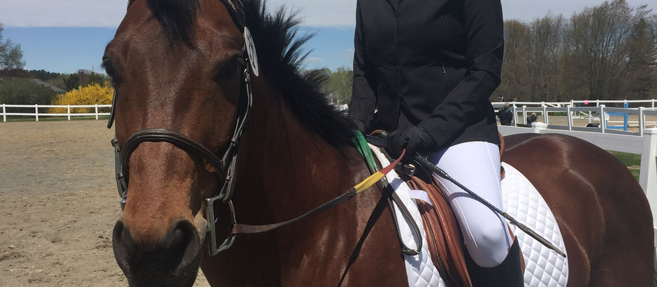 Yoga for Equestrians