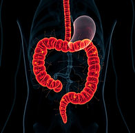 create an image of gastrointestinal test.jpg