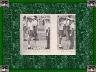 slide20.gif