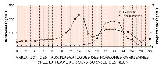 variation hormones ovariennes.gif