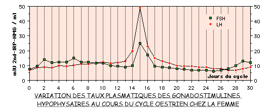 graphique FSH LH.gif