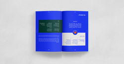 דוח שנתי - אוניברסיטה בעם