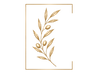 2025 TWS LOGO + Imprints-5.png