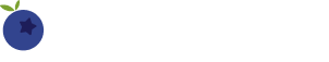 Blueberry logo