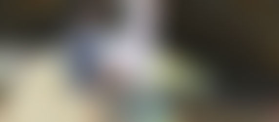 Stage de voltige : dimanche 1er avril