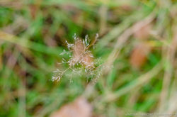 20151021-DSC_1020