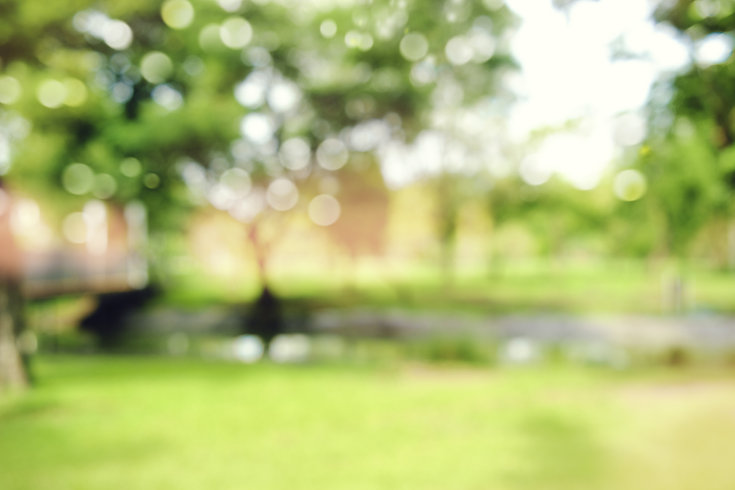 AdobeStock_125902954.jpeg
