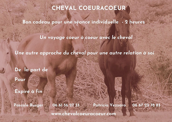 BON CADEAU_chevalCoeur.jpg