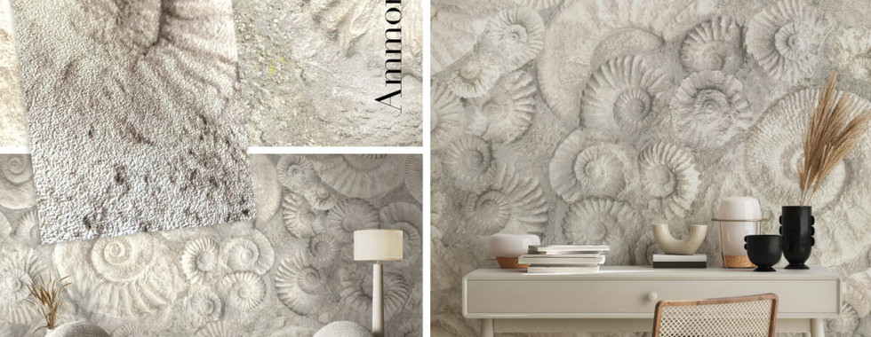 It’s no surprise that ammonites, with their spiral shape, are symbols of change and positive motion. The spiral draws in negative energy, filtering it through the chambers and releasing fresh, positive energy. Rough textured stone, soft mineral tones, and scattered fossil patterns draw on our calming connection to the earth.