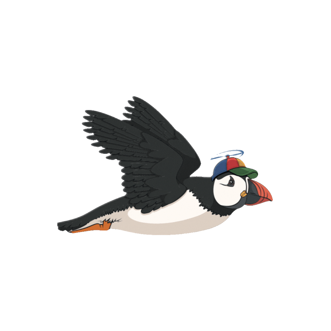 Puffin gif.gif