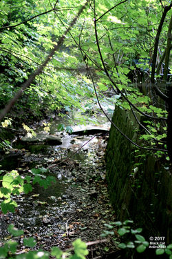 Weinbau Meissner (29)