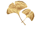 feuille_gingko_biloba-removebg-preview_e
