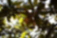 ER6B0511.JPG
