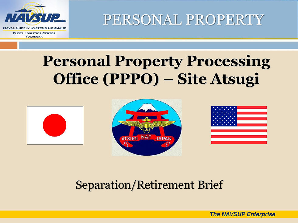PPSO TAPS BRIEF 2022 slides-01