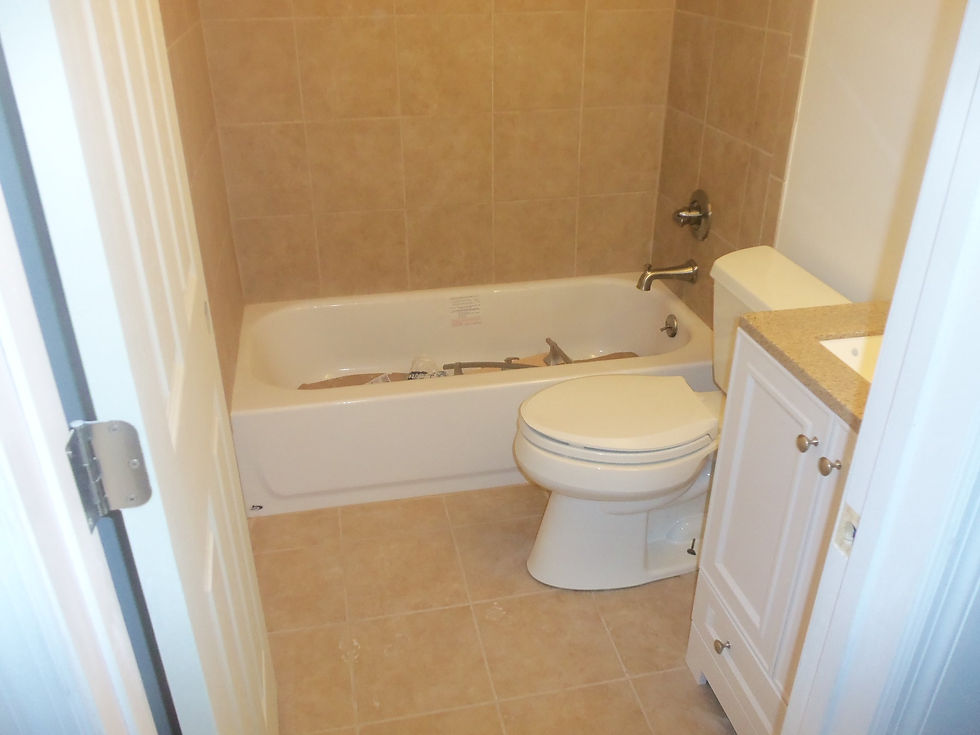 Bath Remodel